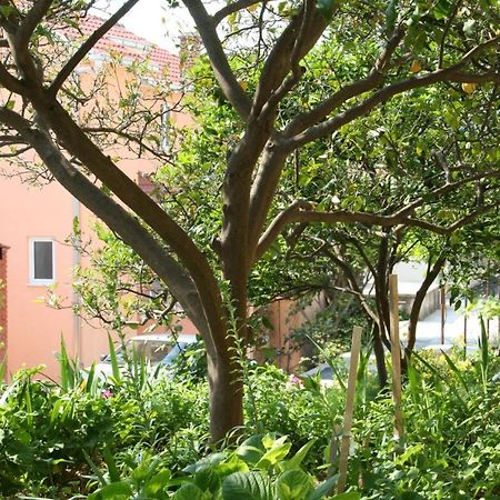 Apartment Podgora 518B Zewnętrze zdjęcie